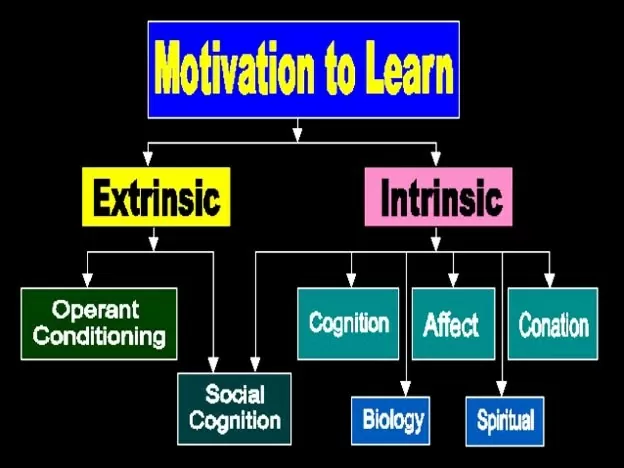 6 Major Differences Between Learning And Training.